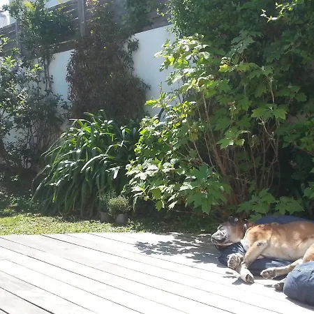 Votre Maison De Vacances Sur L'ile D'yeu Сasa de vacaciones Île d'Yeu